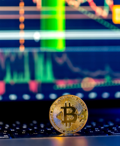 Equipo de Wealthicator